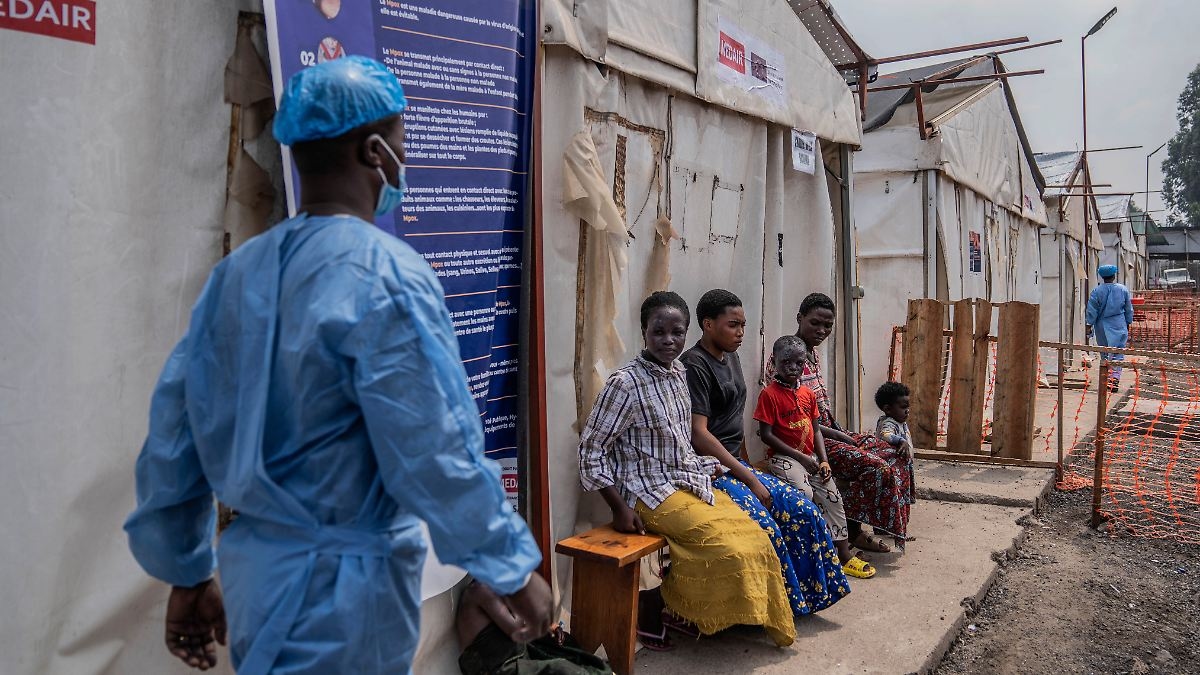 Kinderen aten vleermuis: dodelijke nieuwe ziekte in Congo baart artsen zorgen