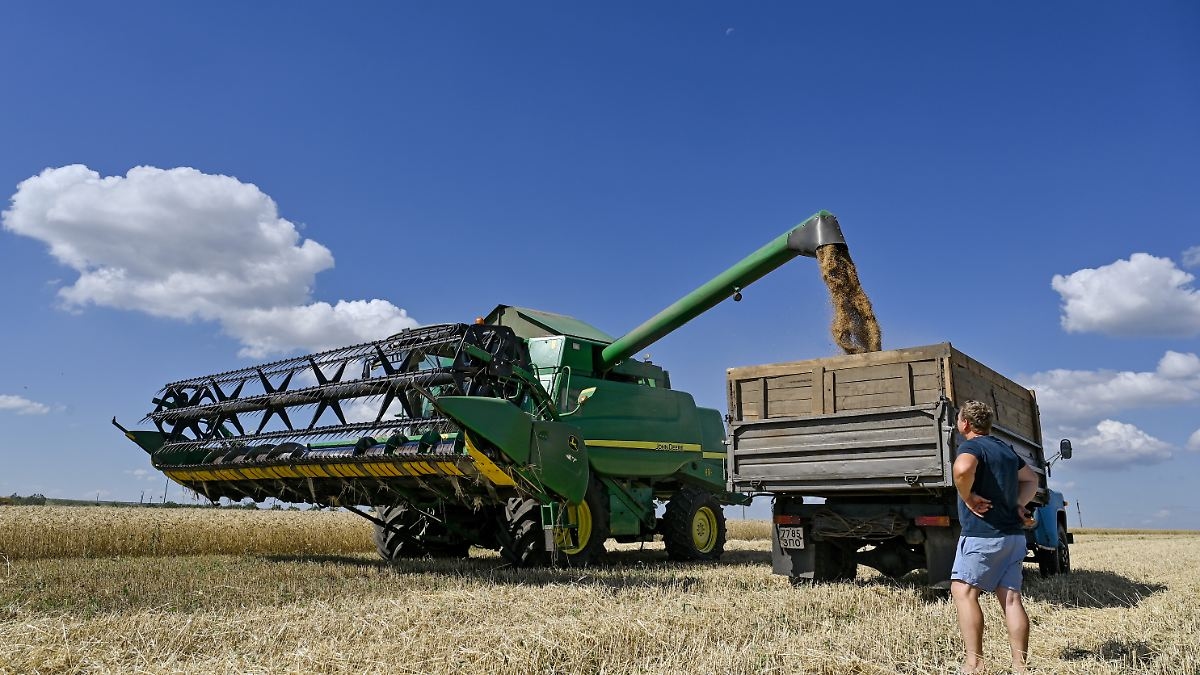 Billions in losses feared: Ukraine loses EU customs exemption overnight