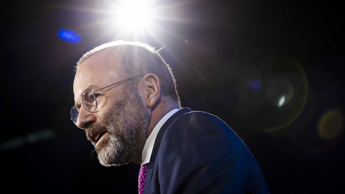 « Livré à l'automne » : Weber promet d'annuler l'interdiction des moteurs à combustion