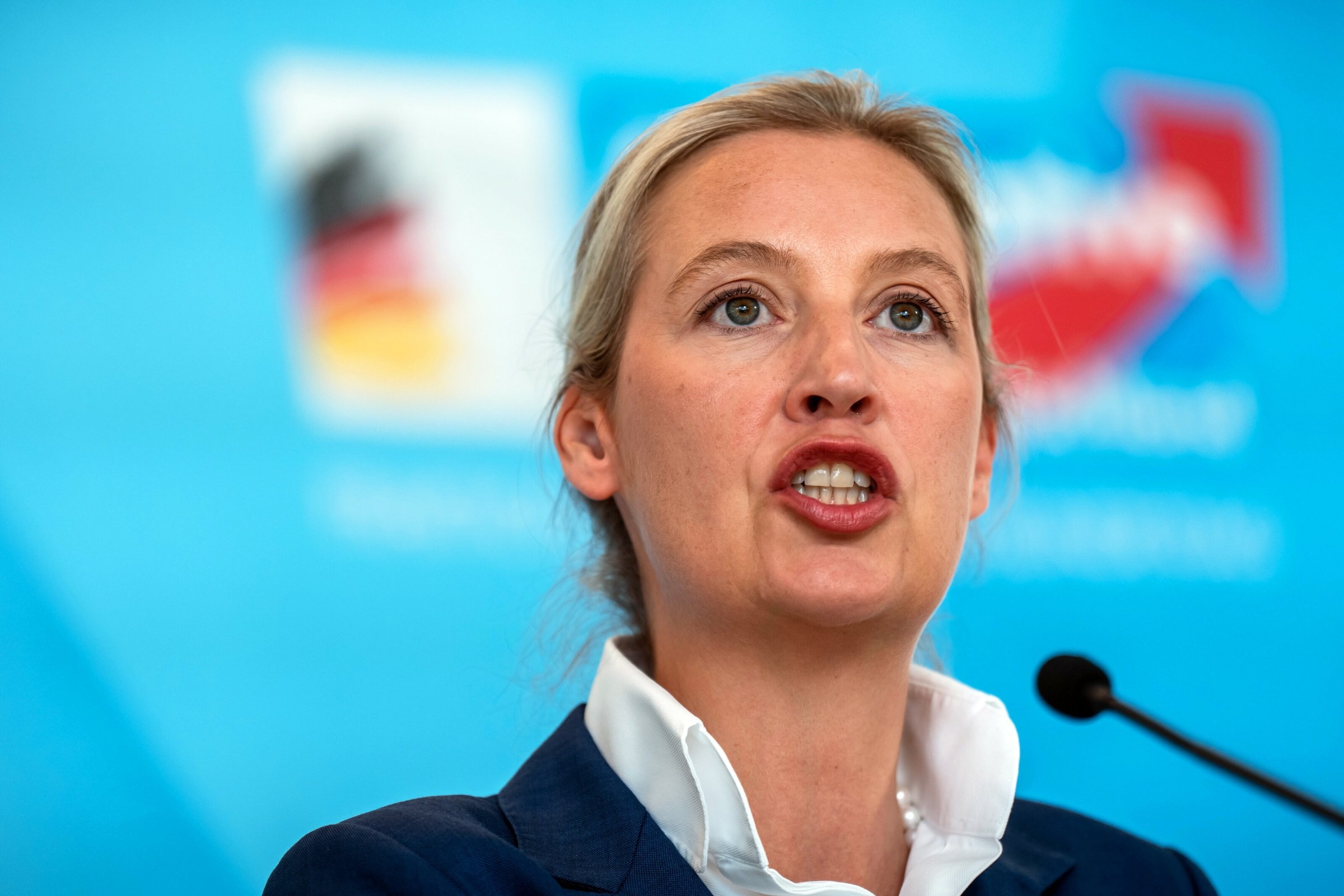 De AfD in het parlement | AfD wil "gematigd" overkomen in de Bondsdag