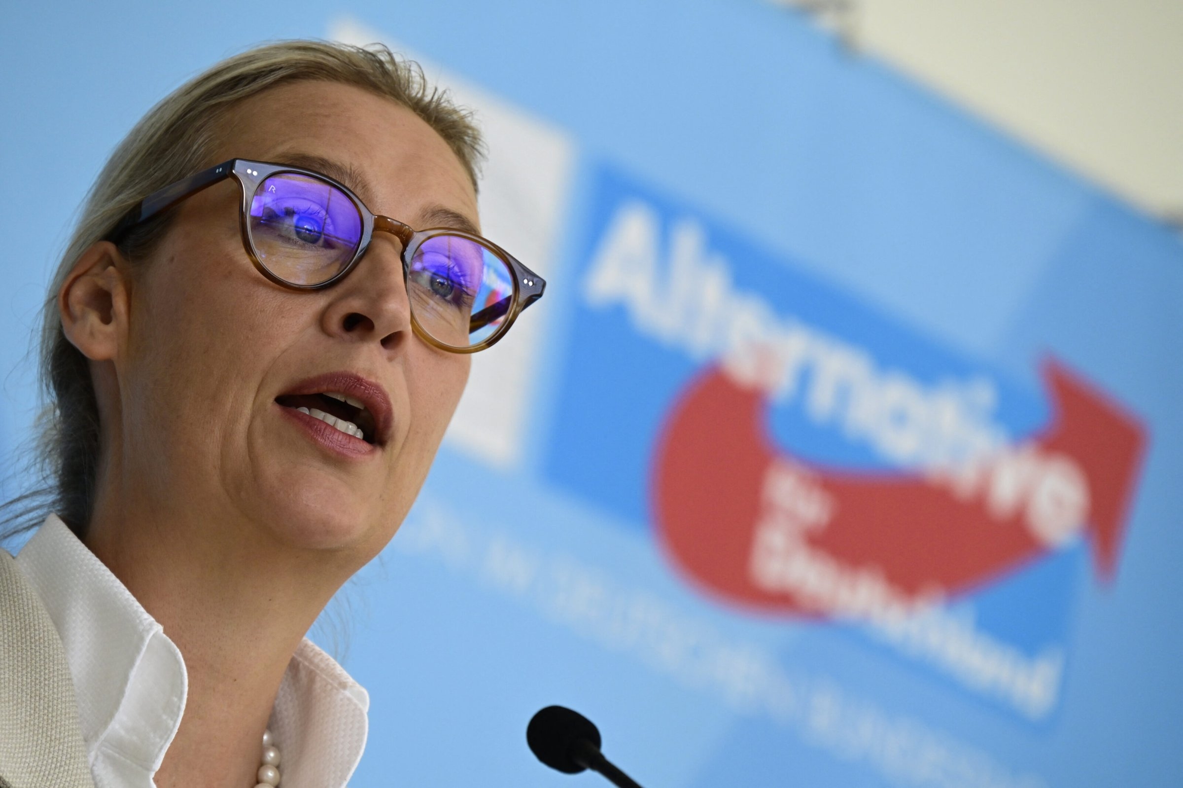 Alternatief voor Duitsland | AfD: Meer "centrum", minder gevaar voor verbod