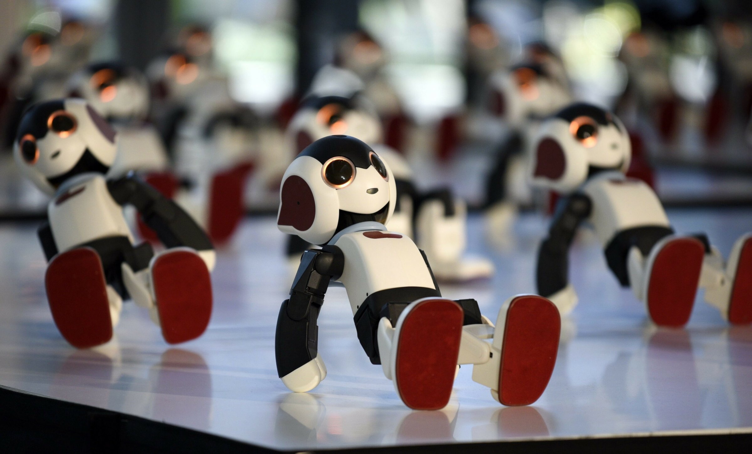 Chatbot di Musk | Stupidità artificiale