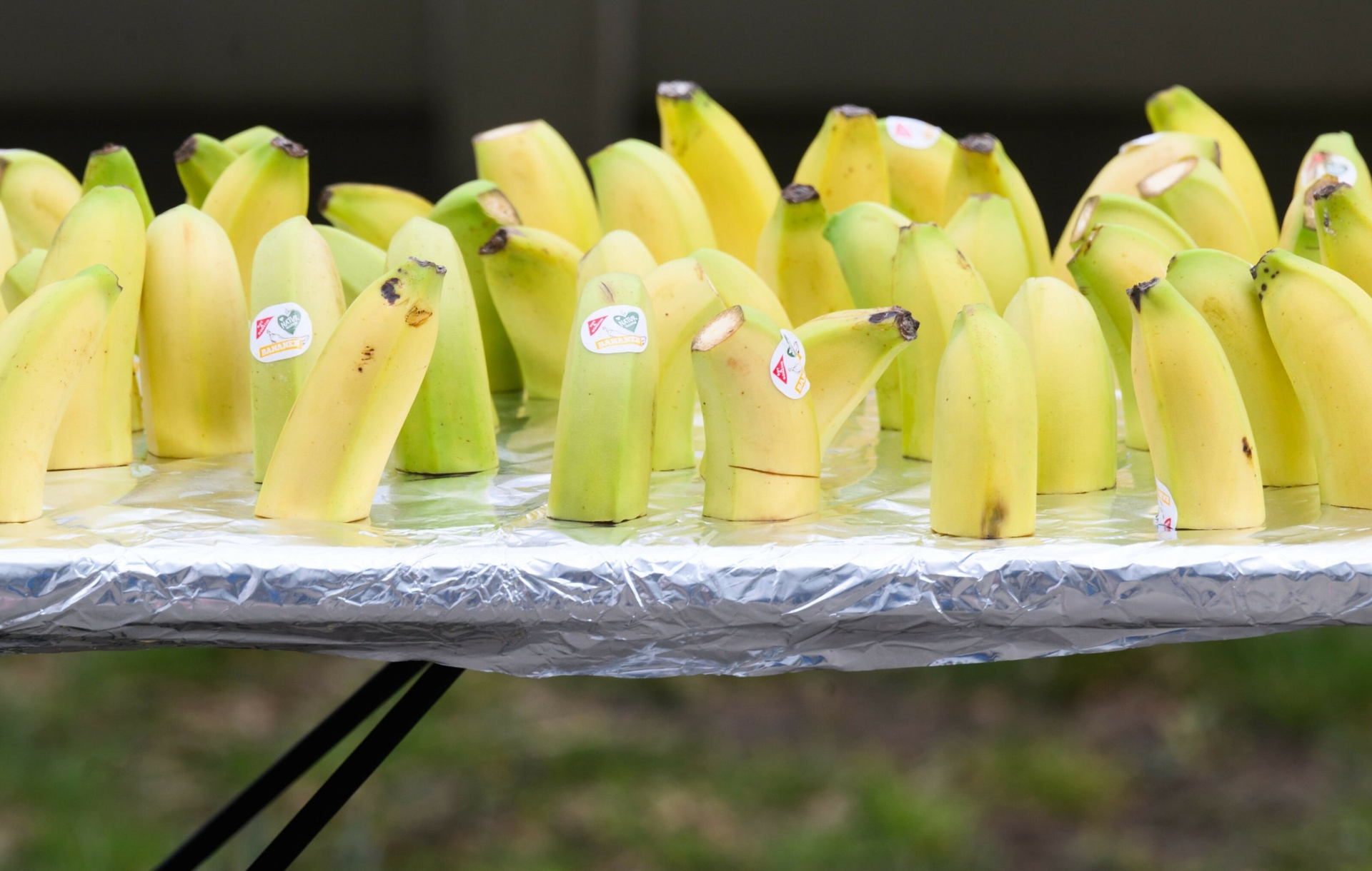 Nutrição esportiva | "A alimentação deve ajudar – não estressar"