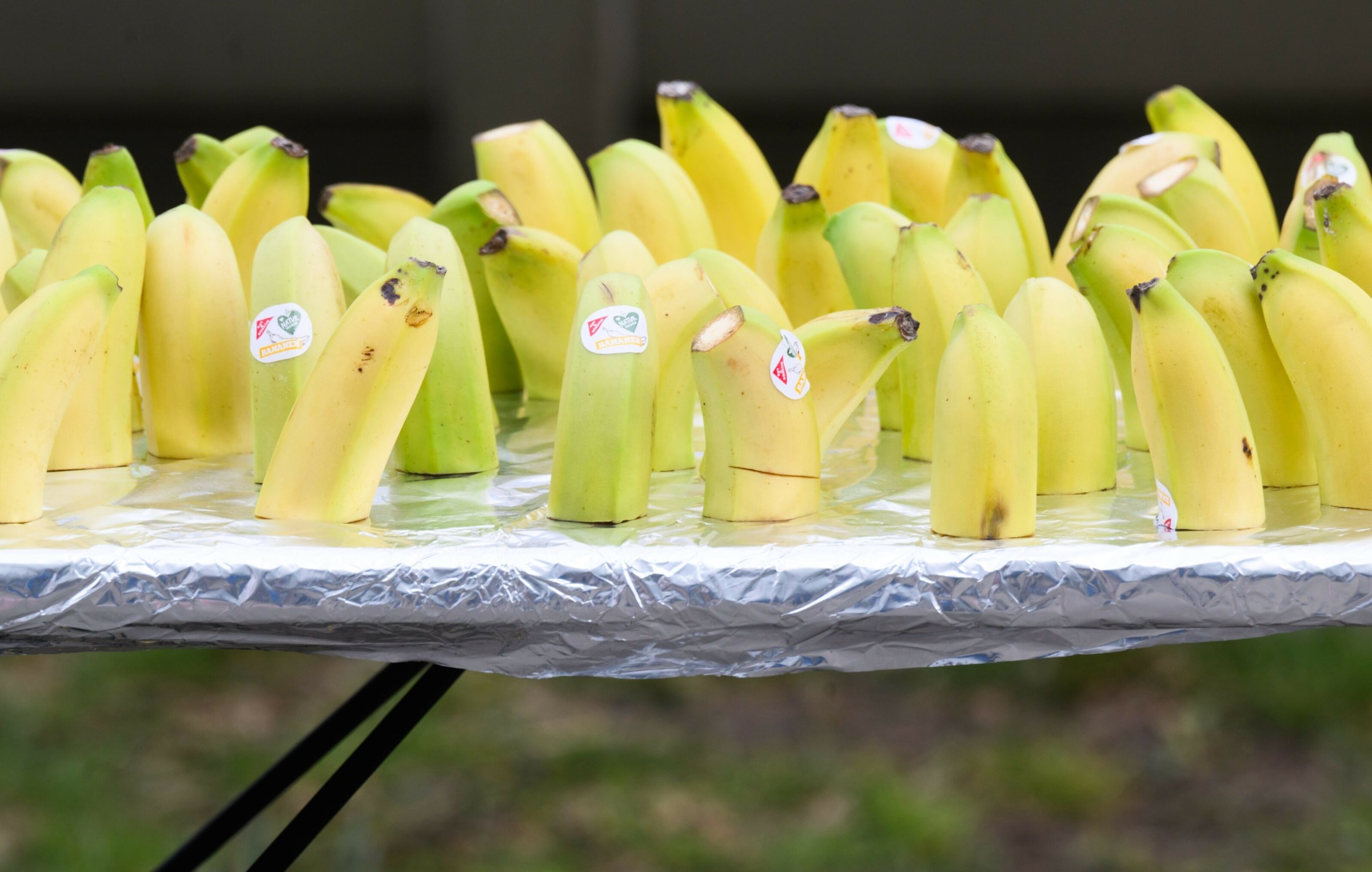 Nutrição esportiva | "A alimentação deve ajudar – não estressar"