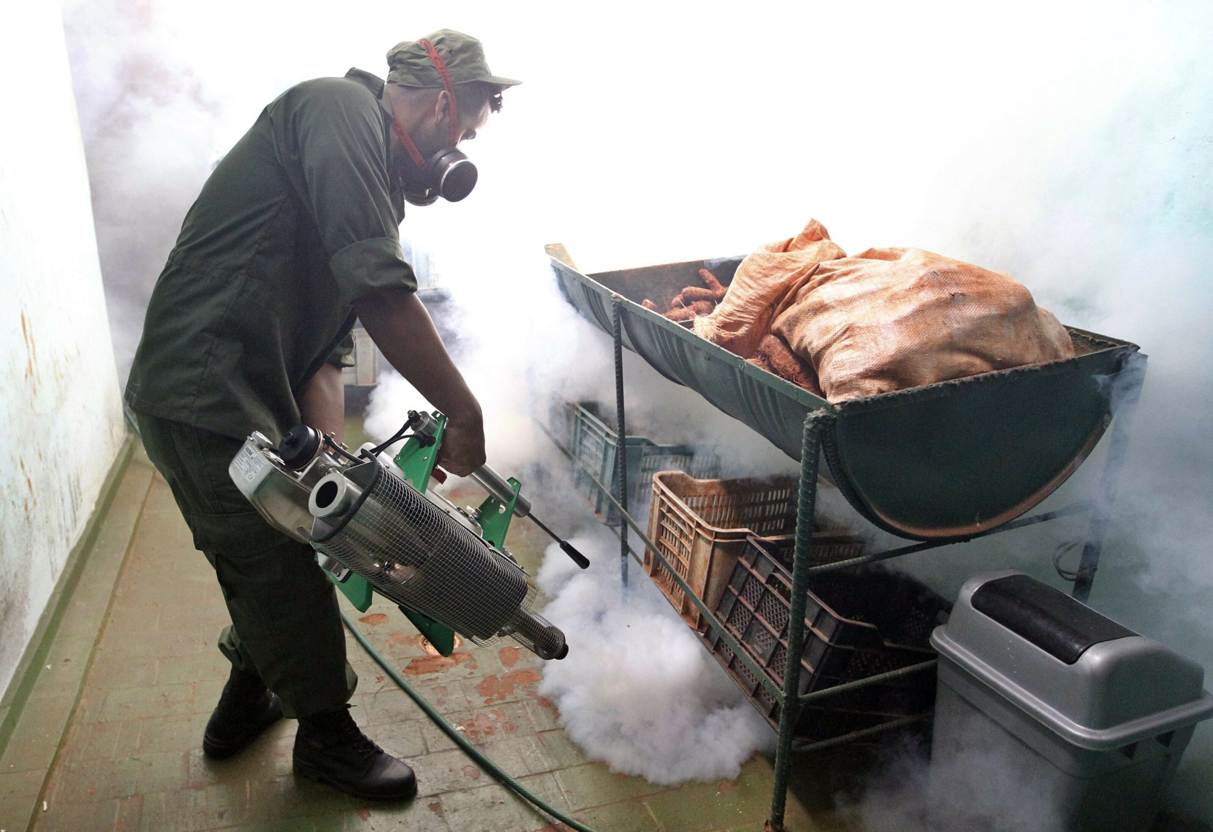 Gezondheid | Dengue, Oropouche en Chikungunya plagen Cuba