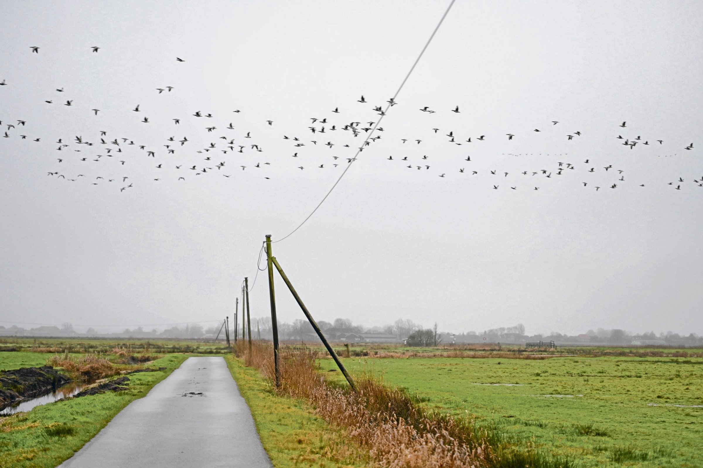 Left-wing literature | Christian Geissler: The Struggle for Life