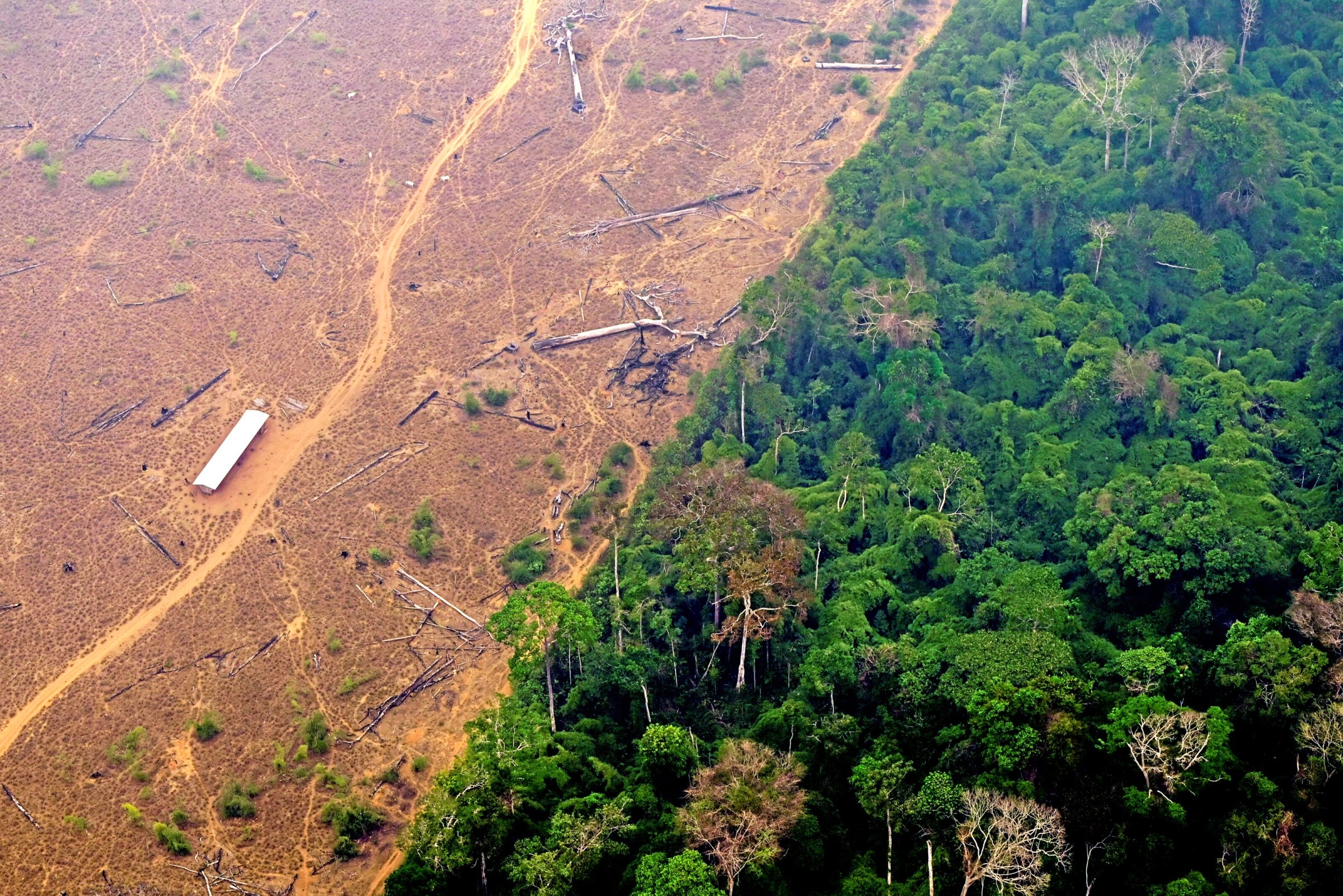 COP 30 | Climate Summit in a High-Risk Area