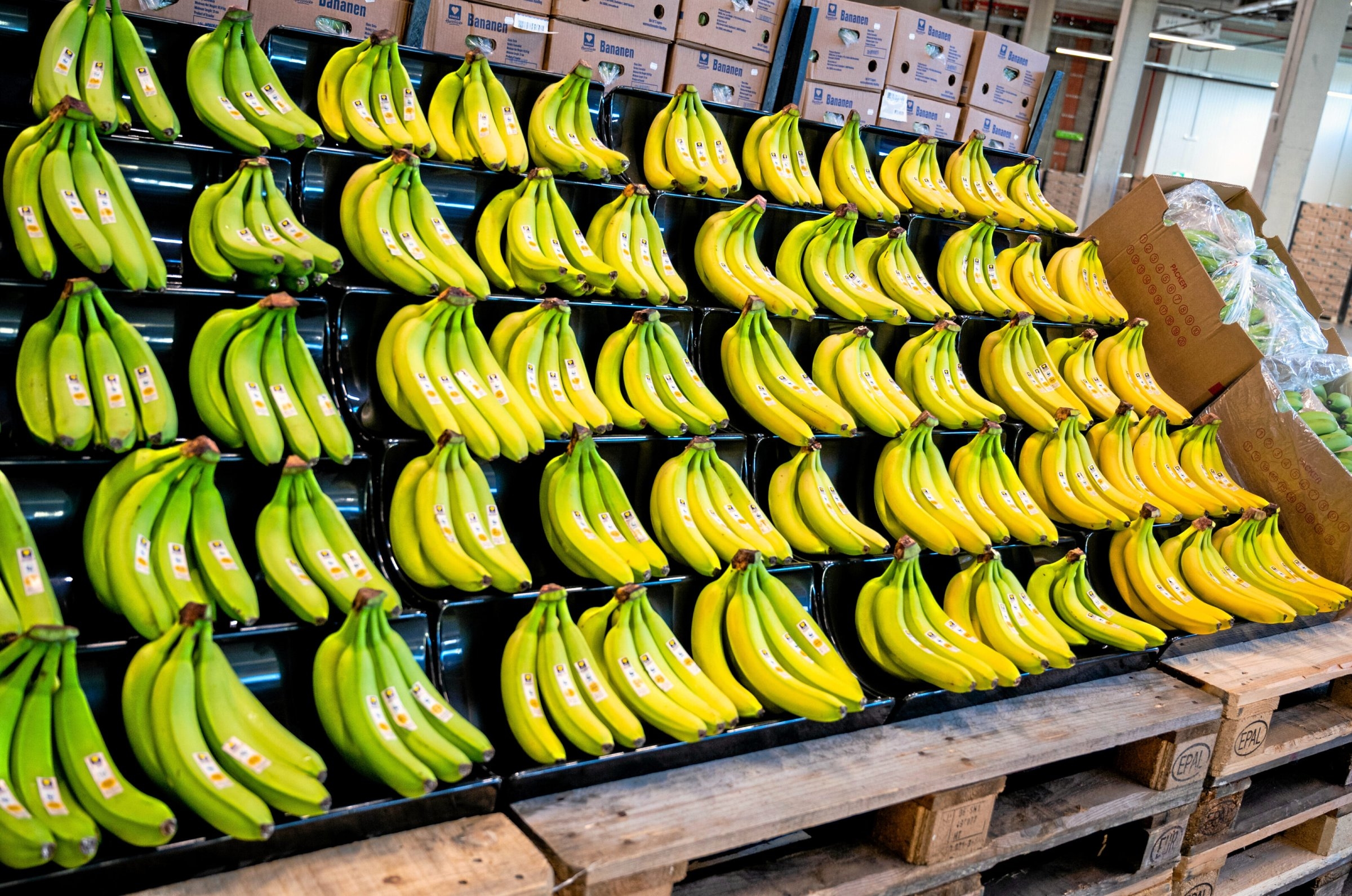 Schendingen van de arbeidswetgeving | Costa Rica: succes dankzij wetgeving inzake toeleveringsketens