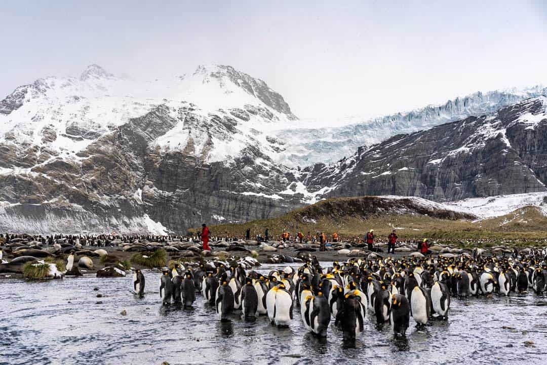 Where Is South Georgia Island? A Complete Guide (2025)