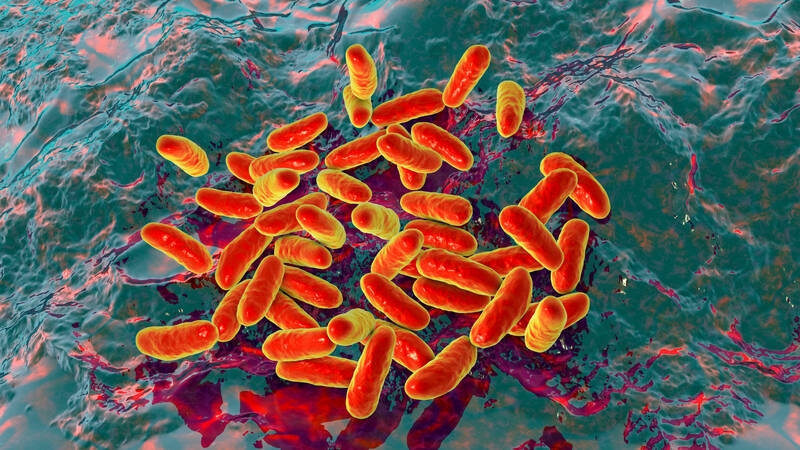Wybuch epidemii Hib: STIKO modyfikuje zalecenia dotyczące szczepień