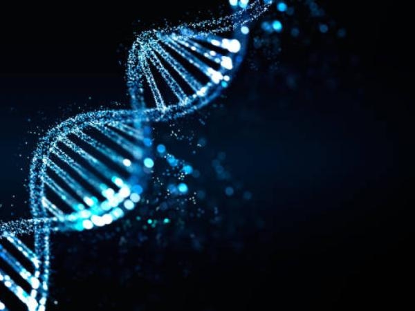 Gli scienziati sequenziano il genoma di un antico egiziano