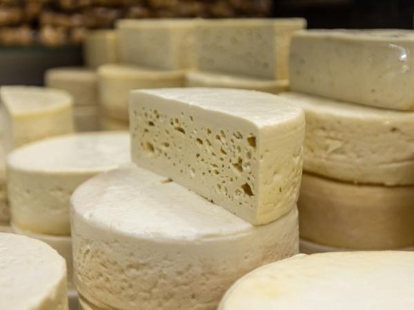 As 8 cidades colombianas onde se produzem os melhores queijos nacionais, segundo o IA