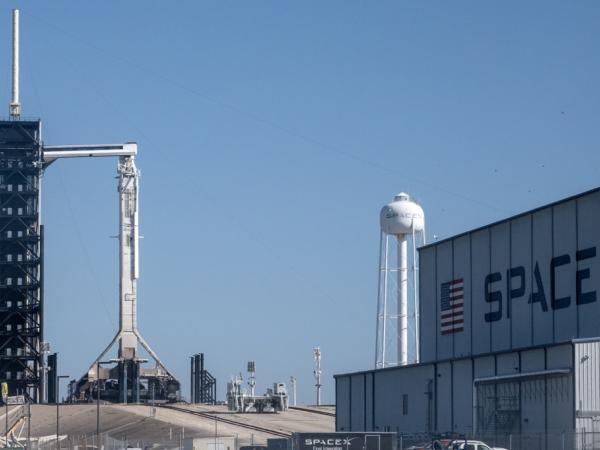 An einem mexikanischen Strand leben gefährdete Schildkröten zwischen den Wrackteilen der SpaceX.