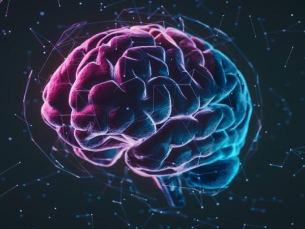 Lo stress degli oneri finanziari potrebbe avere ripercussioni sul cervello
