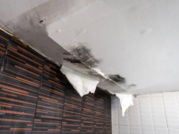 Risse in Wänden und Decken: Wann sollten Sie alarmiert sein?