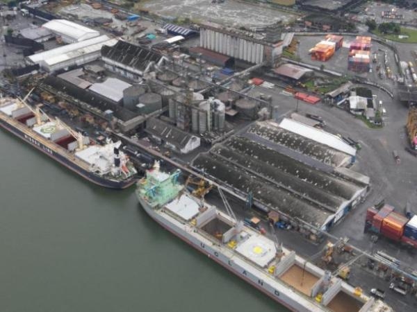 ANI verklagt den Konzessionär von Pier 13 wegen angeblicher Vertragsstreitigkeiten