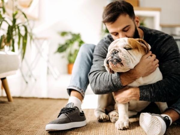 Köpekler için vegan diyeti? Köpek beslenme uzmanı bunun neden iyi olmadığını açıklıyor