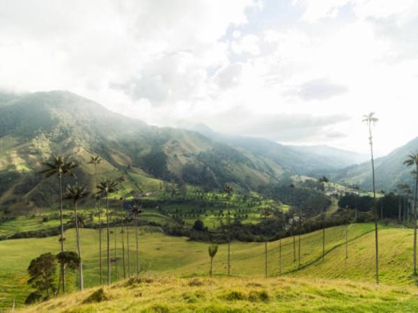 Las 4 mejores cafeterías del eje cafetero colombiano, según la IA (debería conocerlas)