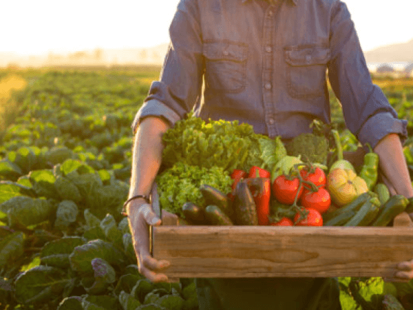Less crops and less rain put strong pressure on the price of basic foodstuffs.