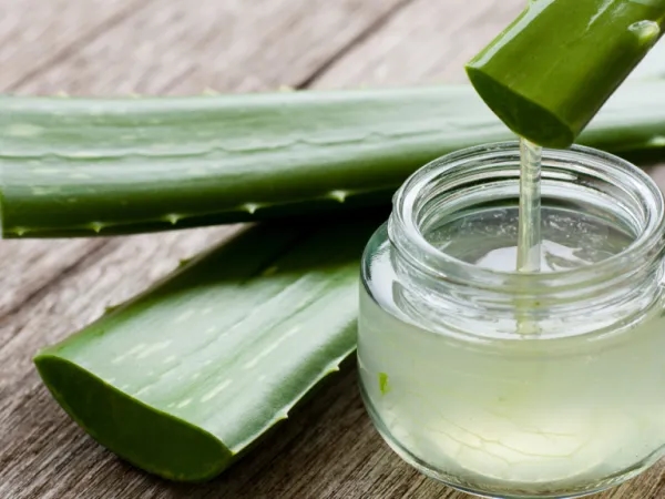 O remédio de aloe vera que você pode fazer em casa e que deixará sua pele radiante