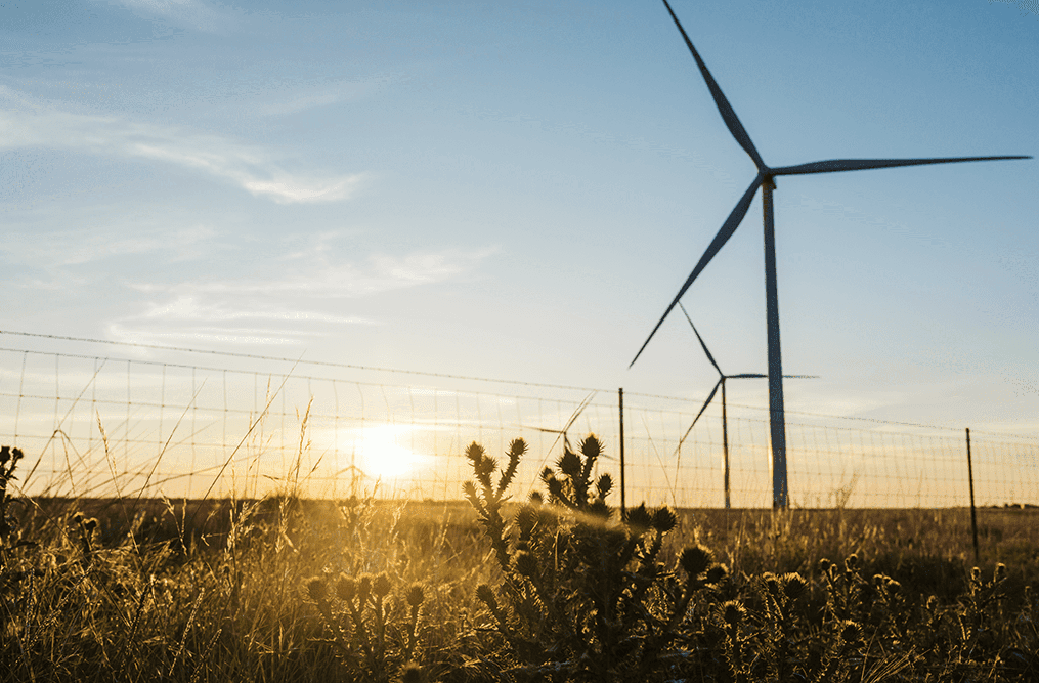 Apex Clean Energy Adds 625 MW as Four Wind and Storage Projects Now Online