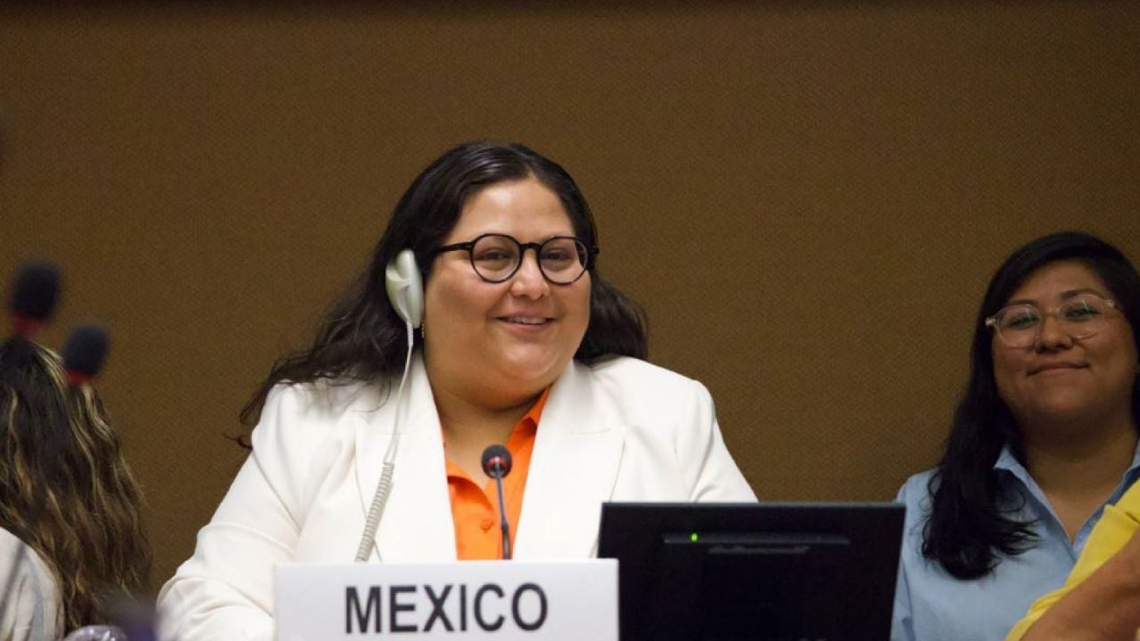 Mexico neemt zijn toevlucht tot ontwijking en triomfalisme terwijl het geweld tegen vrouwen aanhoudt: NGO