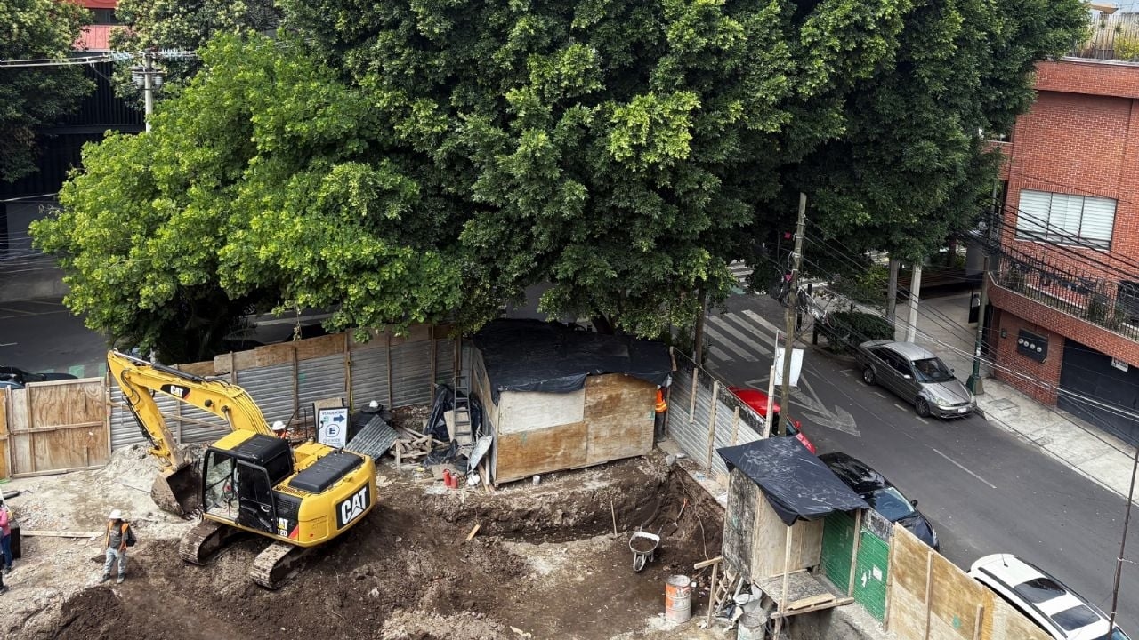 Vizinhos exigem que a imobiliária não corte "Laureano", uma árvore centenária em Benito Juárez.