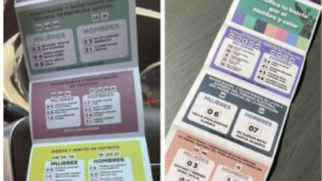 UNIORE recommends that the INE investigate "accordions" for the judicial election