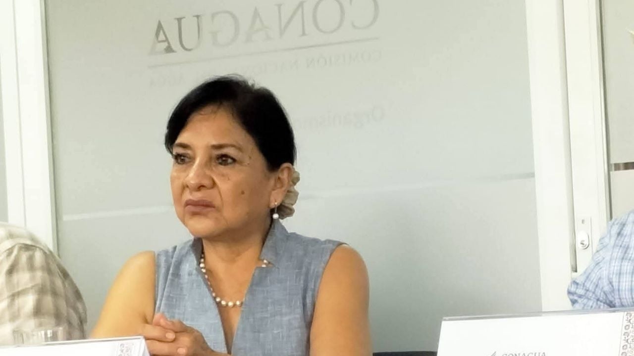 Carolina Plascencia, interim president of the Cuautla River Users Association, has been murdered.