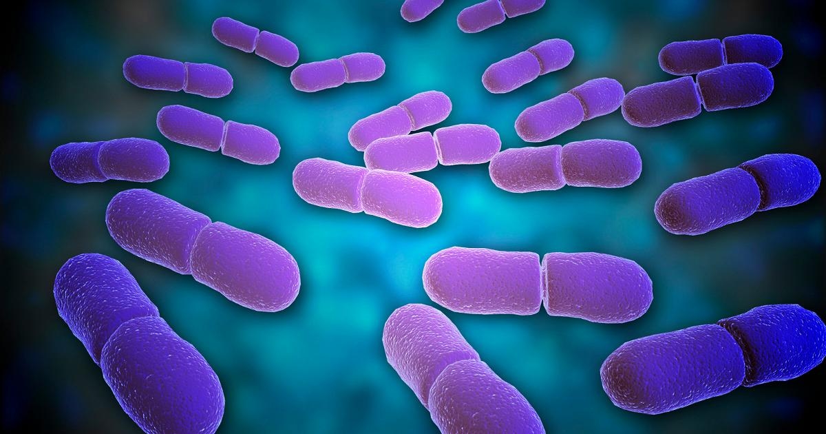 Carrefour Italia roept drie producten terug vanwege het microbiologische risico van Listeria.