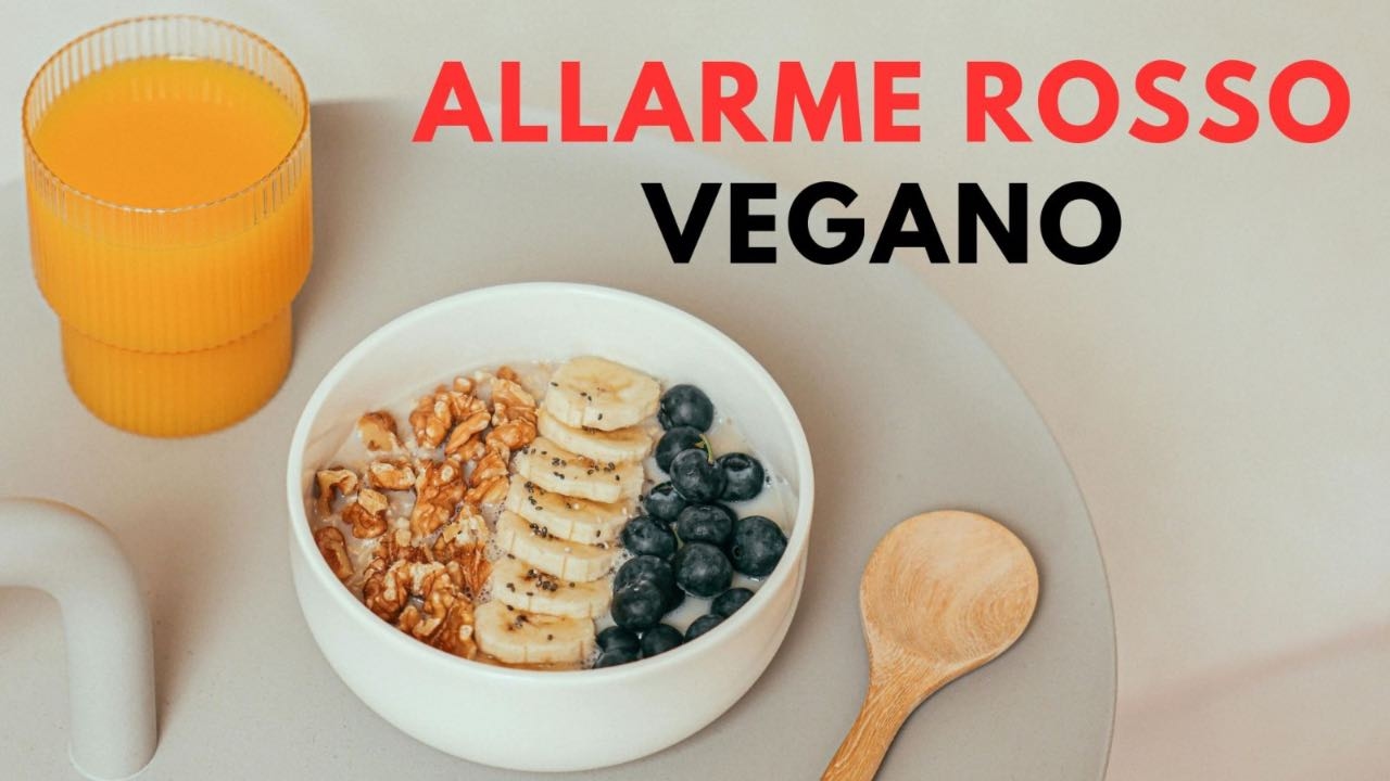 “You eat it and you get anaphylactic shock”: Earthquake on vegan foods | Banned from today without exceptions
