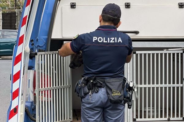 1,5 kg drugs in beslag genomen in stoffenwinkel in Catania, 24-jarige gearresteerd.