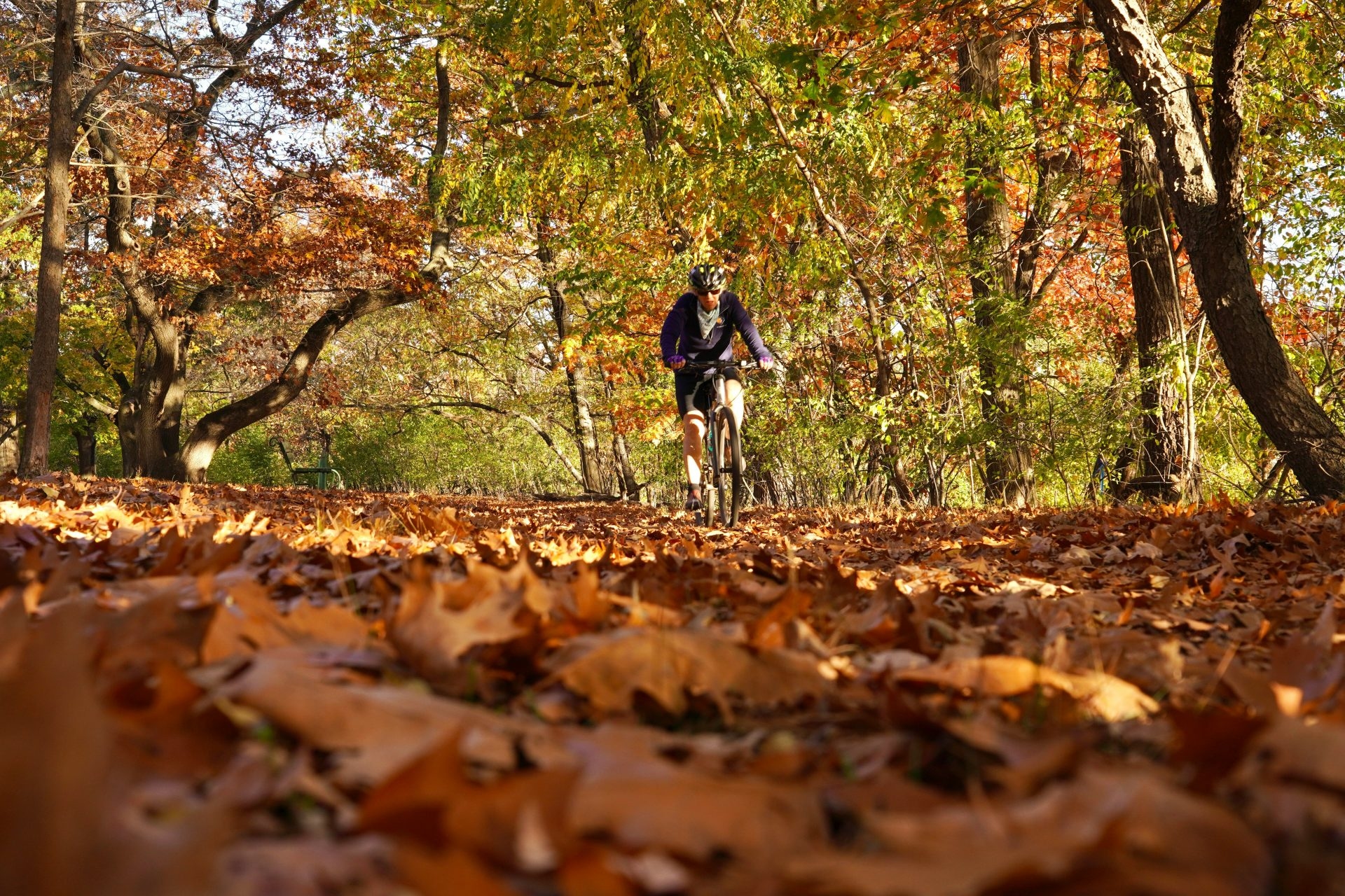 Dementia: Prevention is possible. You just have to want it