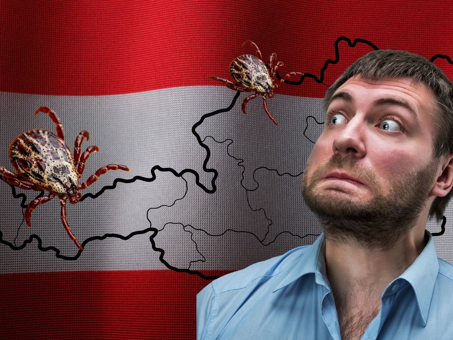 Tekenalarm in Oostenrijk – nieuw vaccin in zicht