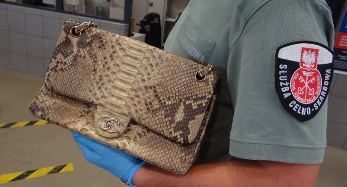 Protected animal haberdashery at border crossings in Medyka, Krościenko and Malhowice [PHOTOS]