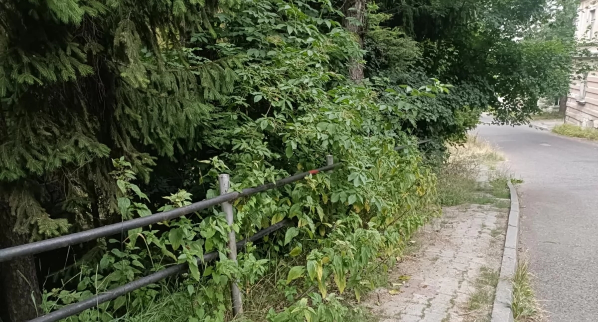 Verwaarlozing maakt de overgang moeilijk