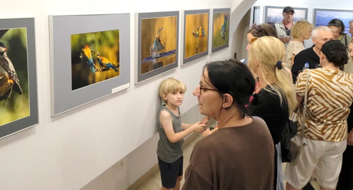 Aves – Mostra di Elżbieta Rogaczewska-Czępińska