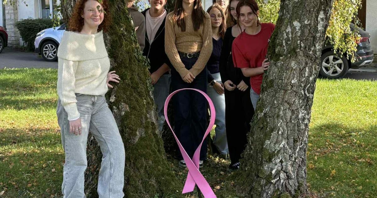 Stenay. MFR'de düzenlenen 10. Pembe Ekim defilesi
