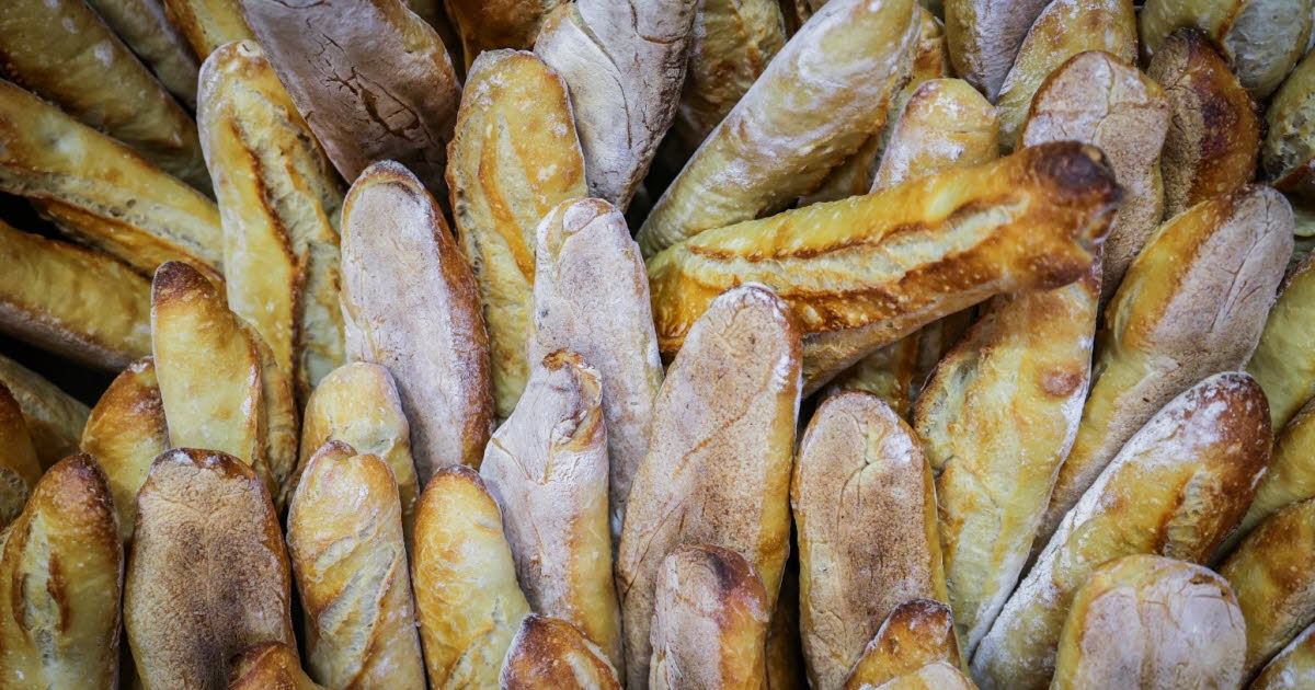 I giovani talenti della panificazione si sfideranno dal 18 al 20 novembre.