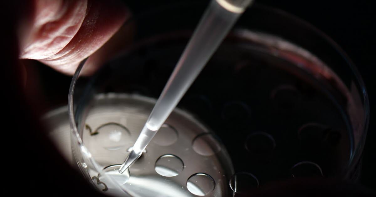 Health. Nancy, epicenter of biotech: 1 million euros for MIT, catalyst for excellence in health