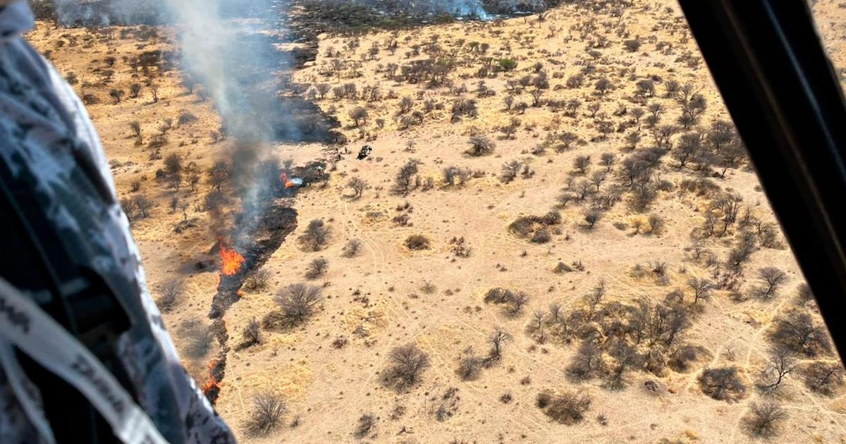 En Namibia, el Parque Nacional de Etosha arde “y lo estamos abandonando”