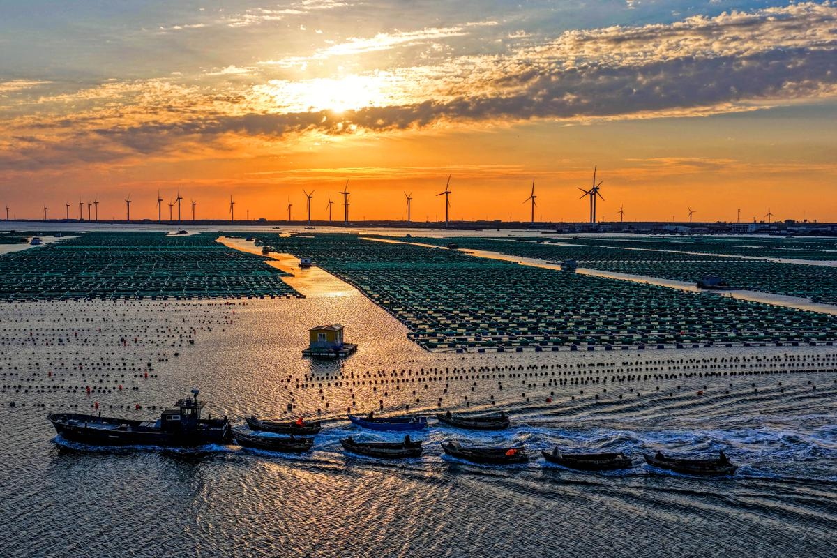 «Китай, официально коммунистический, вероятно, является самым успешным «зеленым» капиталистическим государством в мире».