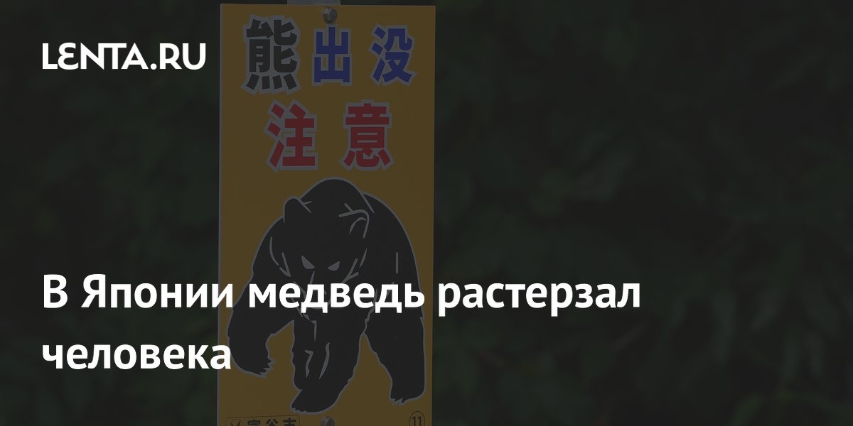 Un homme a été grièvement blessé par un ours au Japon.