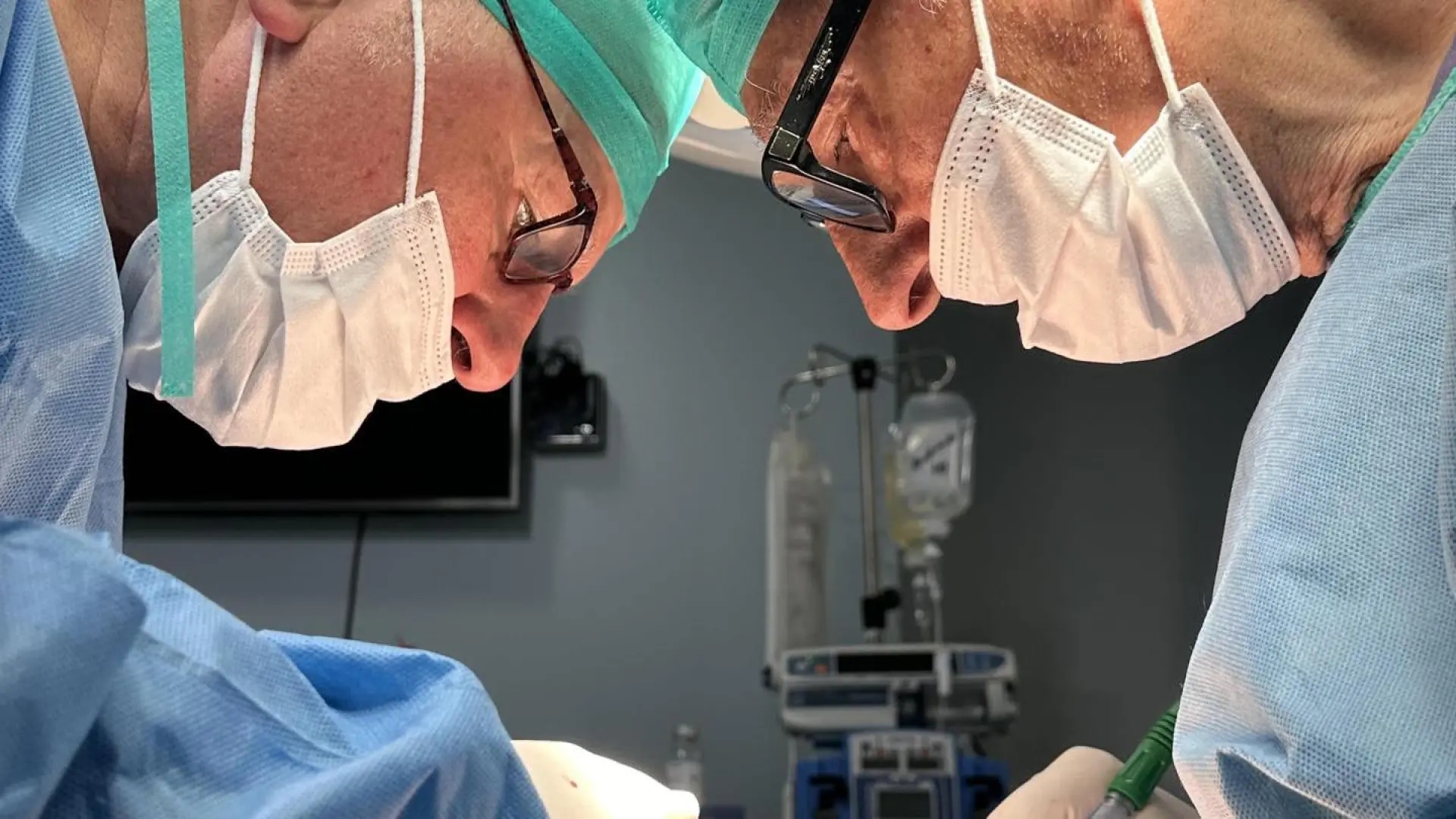 Ils réussissent la première transplantation de reins modifiés par des organoïdes humains chez des porcs.