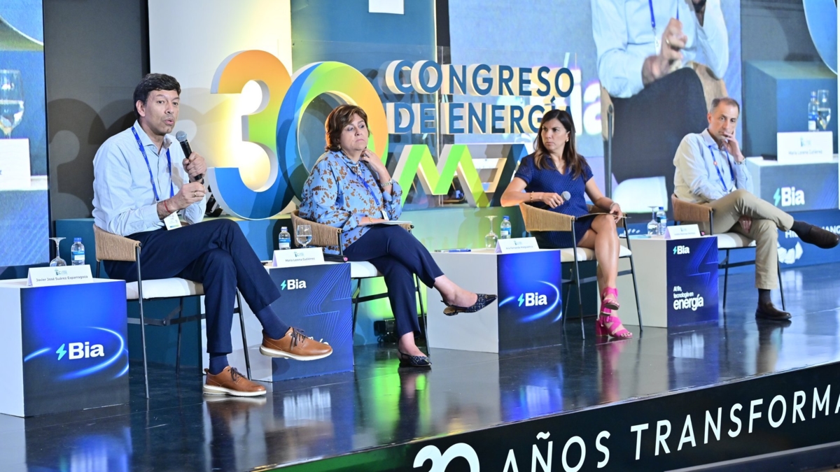 Consultas prévias, licenças ambientais e regulamentação: Grupo Aval e Davivienda alertam para riscos que afetam o financiamento de projetos de energia elétrica.