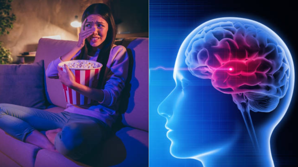 What happens in the brain when you watch horror movies? This is what science says.