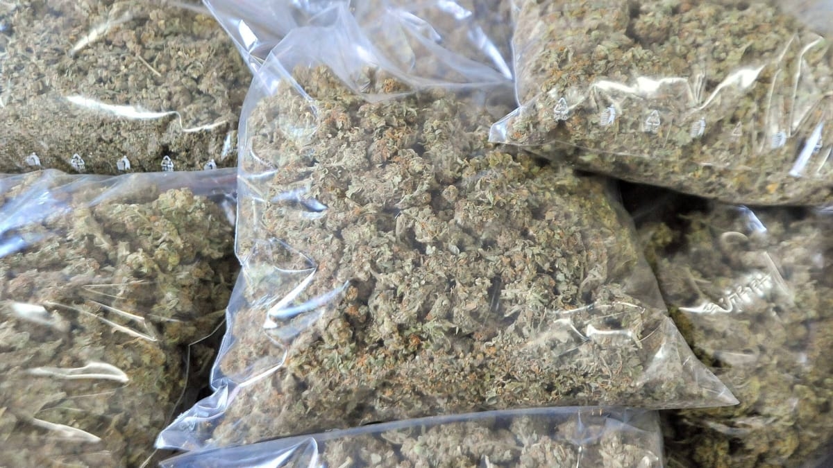 Berlin: Five men arrested after drug find in Spandau