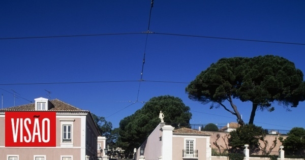 Le elezioni presidenziali sono previste per il 18 gennaio.