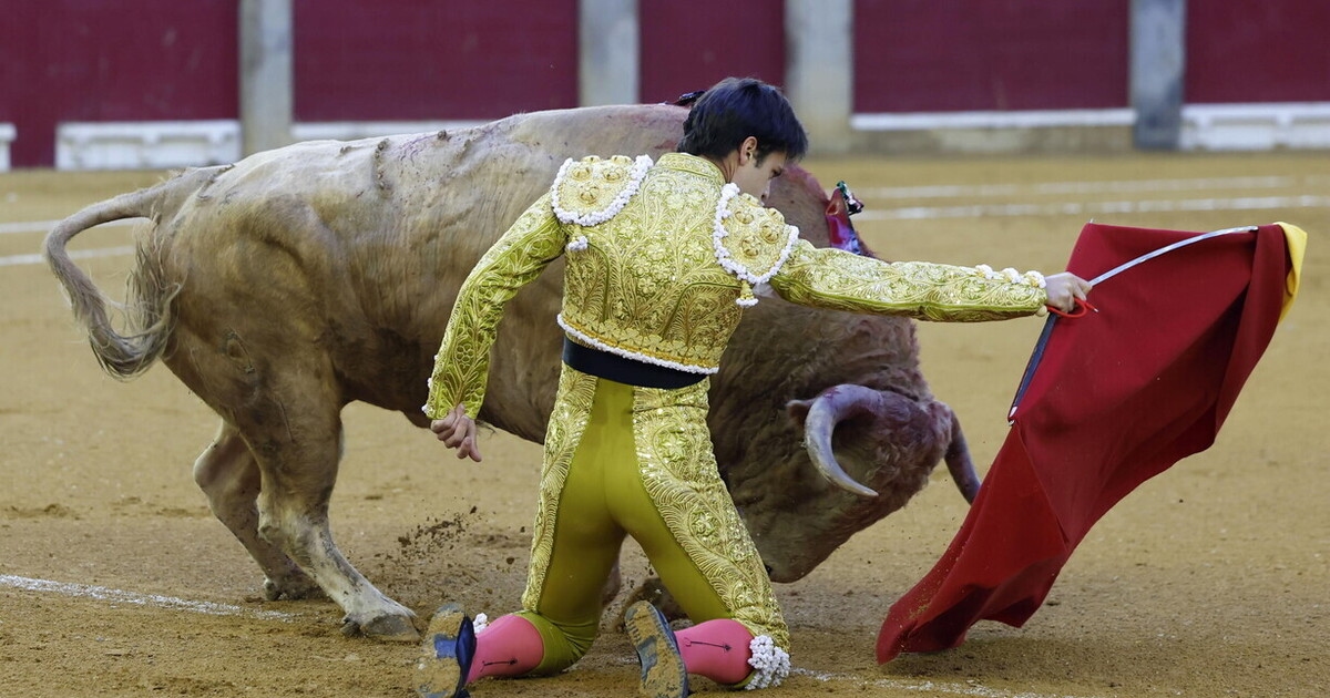 Boğa güreşi, sinema gibi, bizi kayıtsız doğanın gizemine maruz bırakır