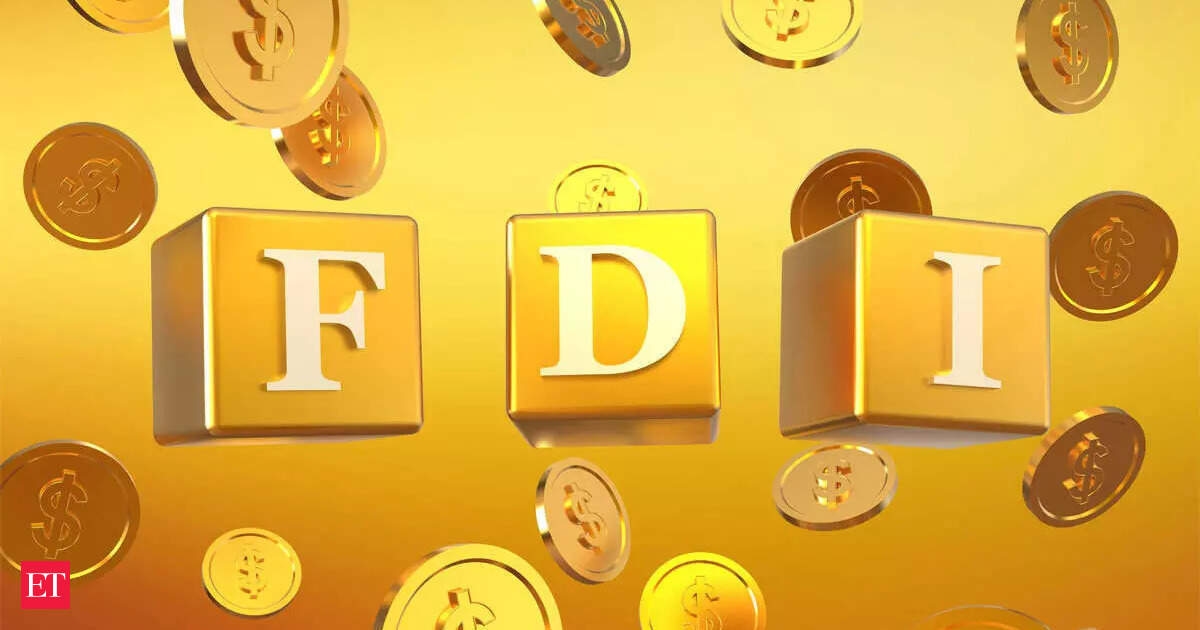 Die USA und Singapur machten im Geschäftsjahr 2025 ein Drittel der ausländischen Direktinvestitionen aus: RBI